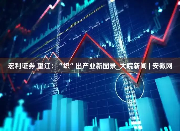 宏利证券 望江：“织”出产业新图景_大皖新闻 | 安徽网