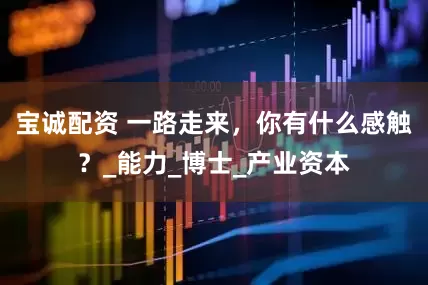 宝诚配资 一路走来，你有什么感触？_能力_博士_产业资本